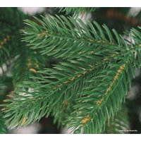 Ель Бифорес Соната Микс (1.65 м, темно-зеленый)