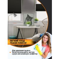 Плиссе Delfa Crep BLO СПШ-36205 (48x160, черный)