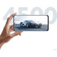 Телефон Xiaomi 12X 8GB/256GB международная версия (фиолетовый)