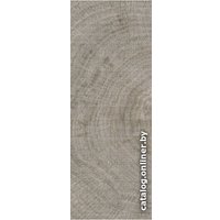 Керамогранит (плитка грес) Argenta Nolan Grey 600x225