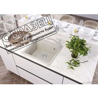 Кухонная мойка Polygran Argo-560 (космос)