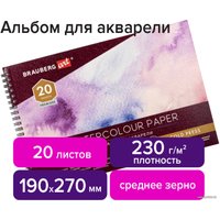 Альбом для рисования BRAUBERG Art Premiere 113215 (20 л)