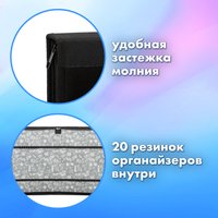 Папка-портфель BRAUBERG Husky 271450 с органайзером (черный)