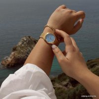 Наручные часы Cluse Feroce CW11203