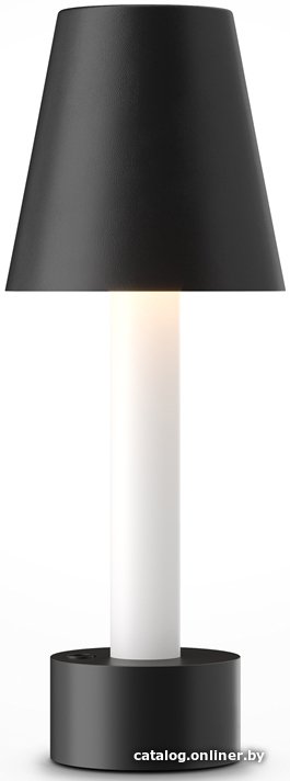 Настольная лампа Maytoni Tet-a-tet MOD104TL-3AB3K