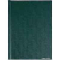Картонная обложка для переплета OPUS C-Bind Classic 304х212 мм E 24 мм X1HPEZIE10 (10 шт, зеленый)