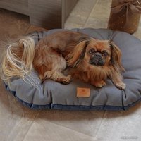 Лежак Ferplast Stuart 45/2 83704525 (синий)