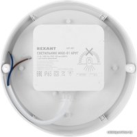 Уличный накладной светильник Rexant 607-207