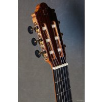 Акустическая гитара Camps SP-6-S