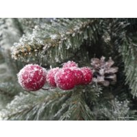 Ель GreenTerra Ариозо, эффект инея 1.5 м