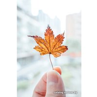 Объектив Nikon NIKKOR Z 28-75mm f/2.8