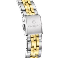 Наручные часы Candino Gents Classic Timeless C4763/1