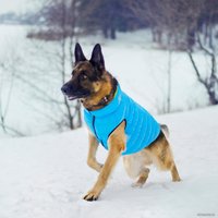 Куртка для животных AiryVest Jacket (XS22, лайм/голубой)