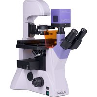 Микроскоп Magus Lum VD500L 83022