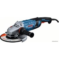 Угловая шлифмашина Bosch GWS 30-230 PB Professional 06018G1100