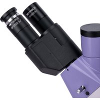 Микроскоп Magus Lum VD500 LCD 83021