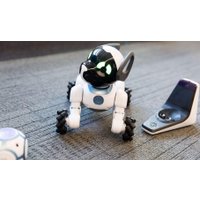 Умный робот-друг WowWee Chip