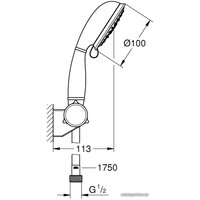 Душевой гарнитур  Grohe New Tempesta Rustic 100 27805001