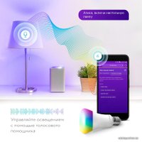 Светодиодная лампочка Rubetek RL-3103 E27