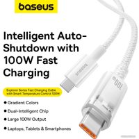 Кабель Baseus Explorer Series Fast Charging Cable Auto Power-Off For Overheating 100W USB Type-C - USB Type-C (1 м, белый)