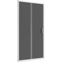 Душевая дверь Domani-Spa DoorCube 110x190 DS04DCb110L0T00.W в Орше