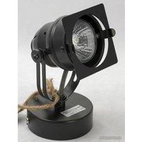 Точечный светильник Lussole Denver LSP-9118