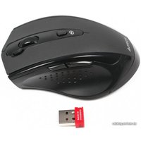 Мышь A4Tech G10-810FS