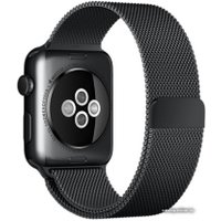 Умные часы Apple Watch 42mm Space Black with Space Black Milanese Loop [MMG22]