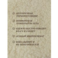 Одеяло Lanatex ОДМ 011 021 (145x205см)