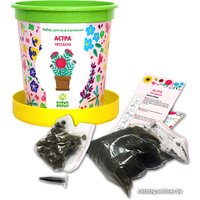 Набор для опытов Happy plant Астра звездная hpn-6 в Могилеве