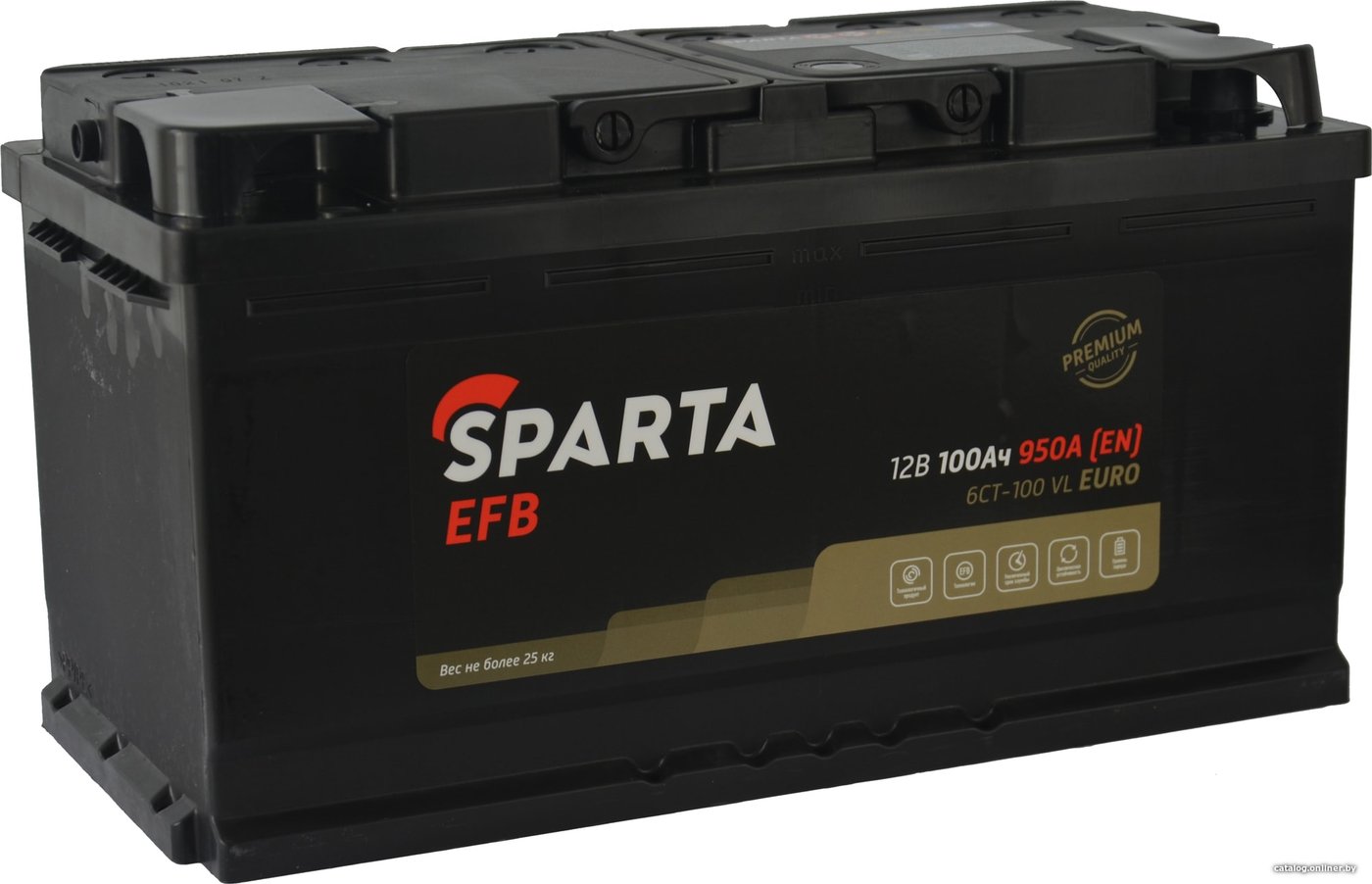 Автомобильный аккумулятор Sparta EFB 6CT-100 VL Euro (100 А·ч)