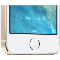 Смартфон Apple iPhone 5s 16GB Gold