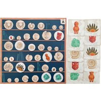 Детская настольная игра Стиль Жизни Остров Токо