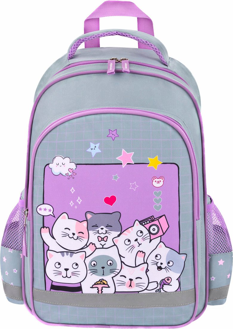 

Школьный рюкзак Пифагор School. Cats Selfie 273165