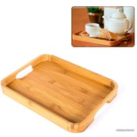 Поднос Катунь КТ-ПД-02