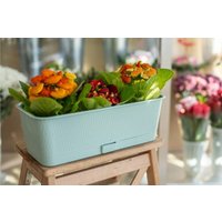 Вазон 5 Plast Прованс Балконный ящик (6 л, менто л, с подставкой)