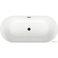 Ванна Wellsee Croquis 166x77 230302003 (отдельностоящая ванна матовый белый/матовый черный, экран, ножки, сифон-автомат матовый черный)