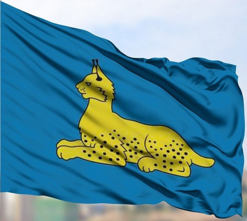 

Флаг МирФлагов г. Гомеля уличный под баннерное плечо 75х150 см