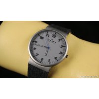 Наручные часы Skagen SKW6097