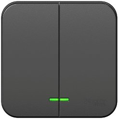 

Выключатель Schneider Electric Blanca BLNVA105116