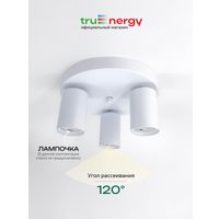 Припотолочная люстра TruEnergy 21491