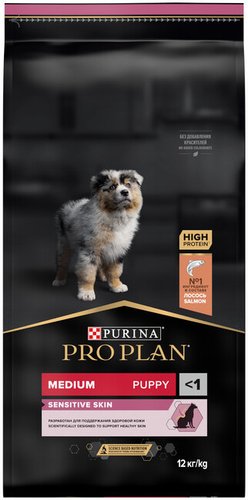 puppymss12