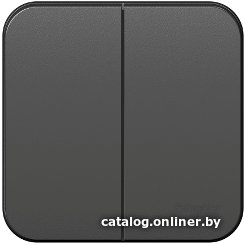 Выключатель Schneider Electric Blanca BLNVA105016