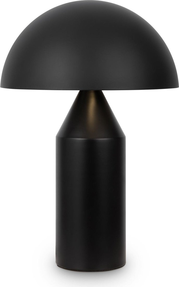 

Настольная лампа Freya Eleon FR5218TL-02B1