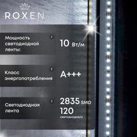 Roxen Зеркало Grown 510200-70B 40x70