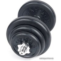 Гантель Central Sport 19.5 кг