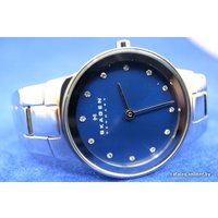 Наручные часы Skagen SKW2180 в Гродно