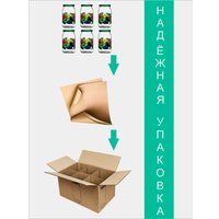 Набор контейнеров Promsiz Овощи с крышкой Р22б.77.6.900/ДКО (900мл, 6шт)