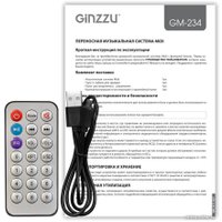 Беспроводная колонка Ginzzu GM-234