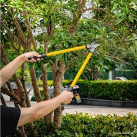 Набор инструментов Deli DL580003 98495